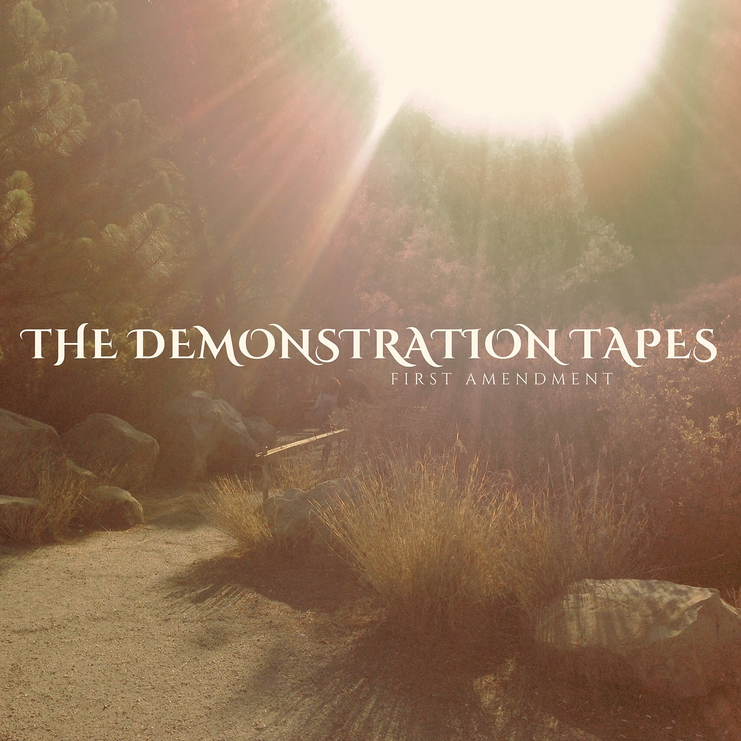 Apollon Records The Demonstration Tapes First Amendment LP vinyle