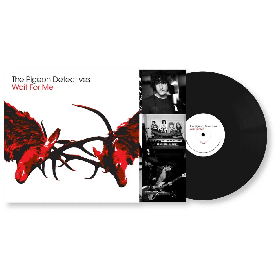 The Pigeon Detectives Wait for Me vinyle bio noir