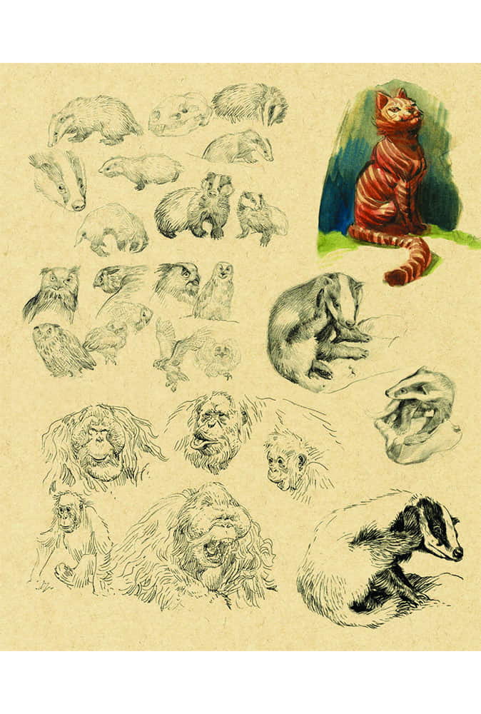 Attakus Collection Atlas Sketchbook Lereculey artbook 48 pages