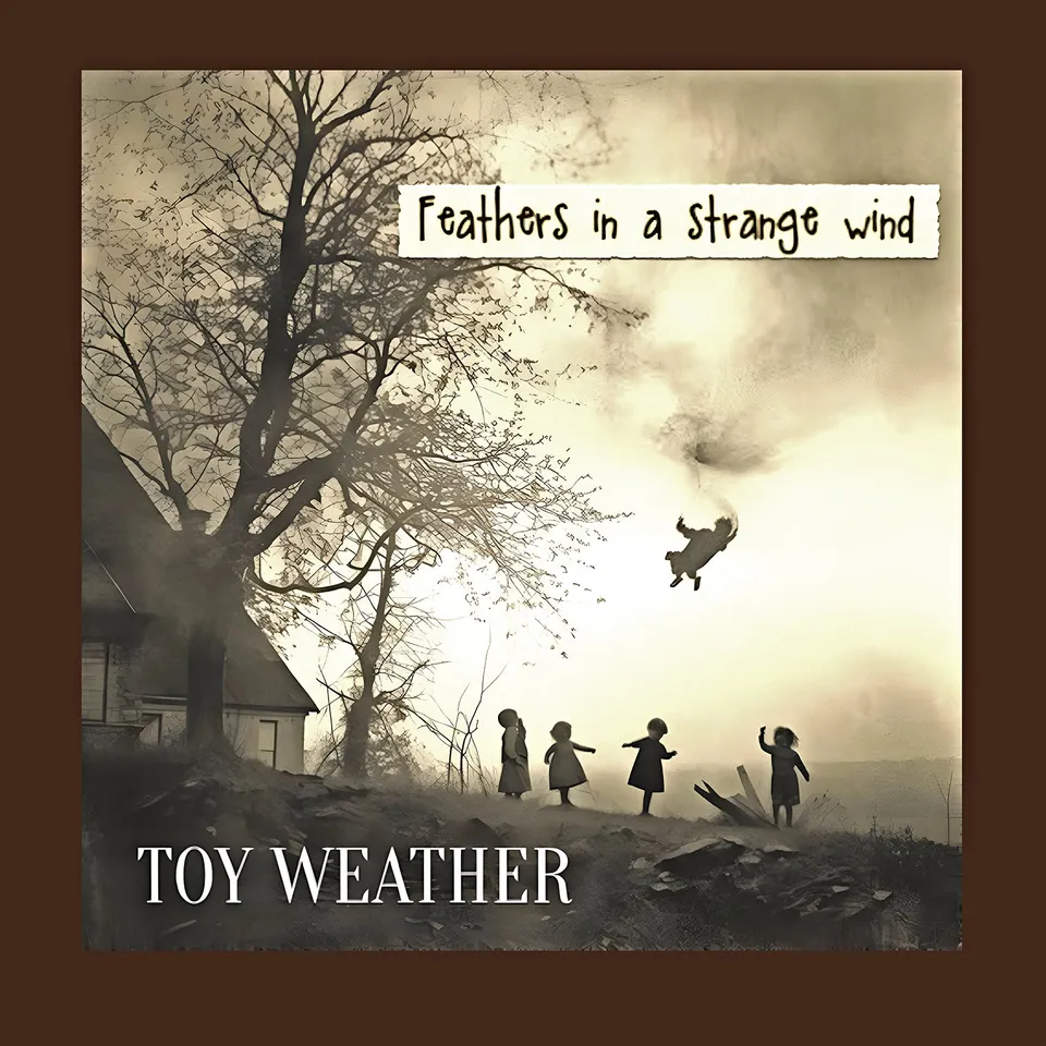 Apollon Records Toy Weather Feathers CD album rock progressif