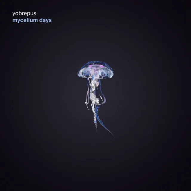 Apollon Records Yobrepus Mycelium Days disque CD jewel case