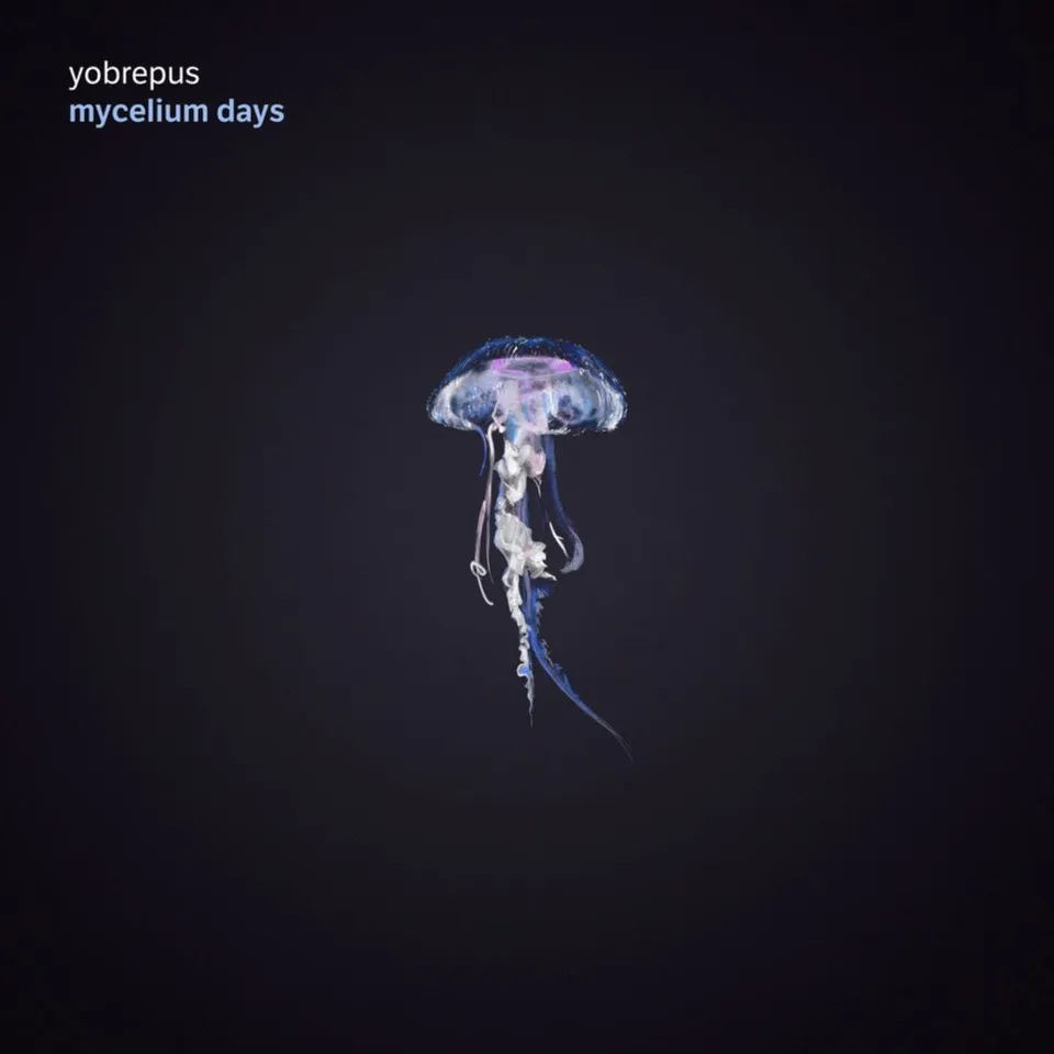Apollon Records Yobrepus Mycelium Days disque CD jewel case