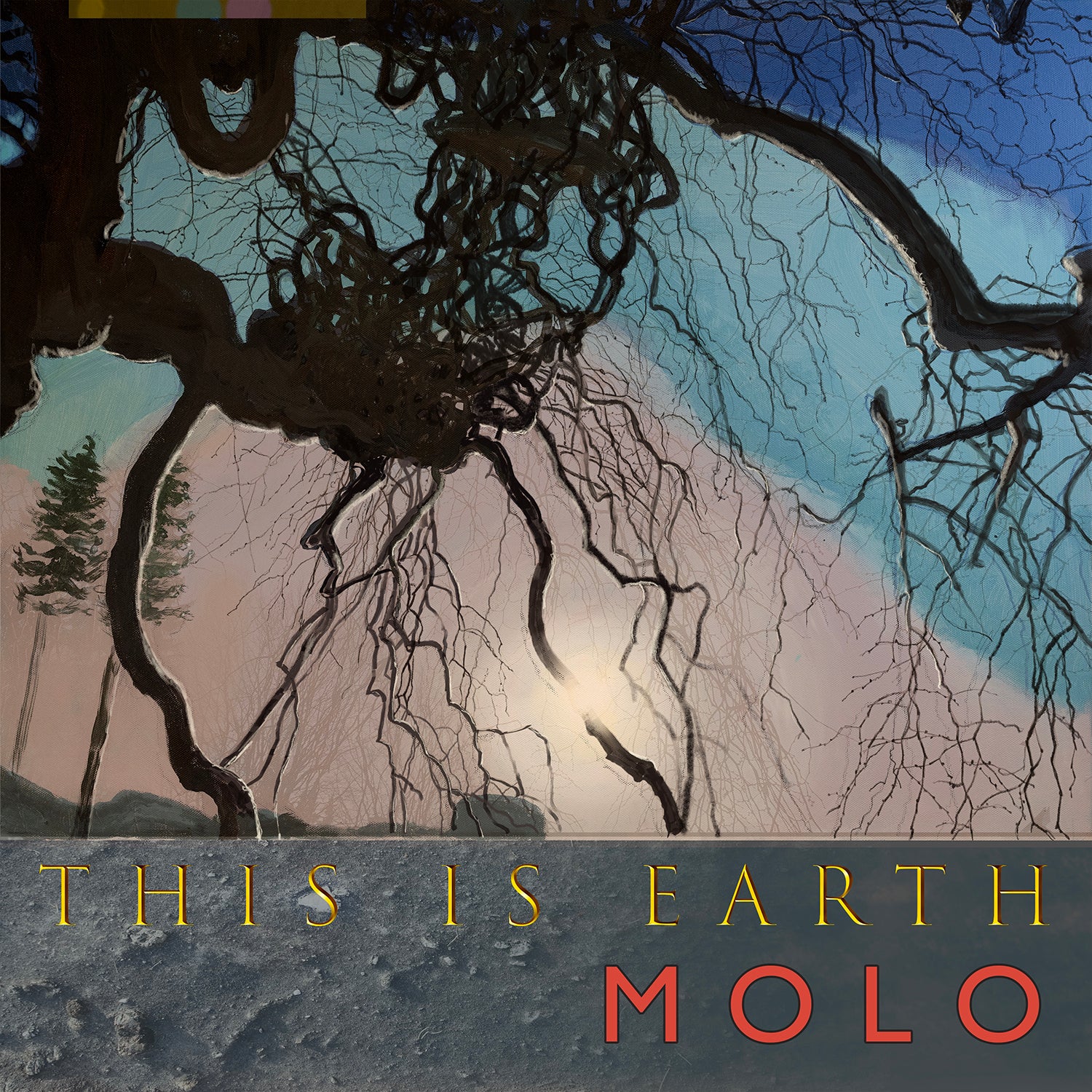 Apollon Records Molo This is Earth LP vinyle noir 100 ex