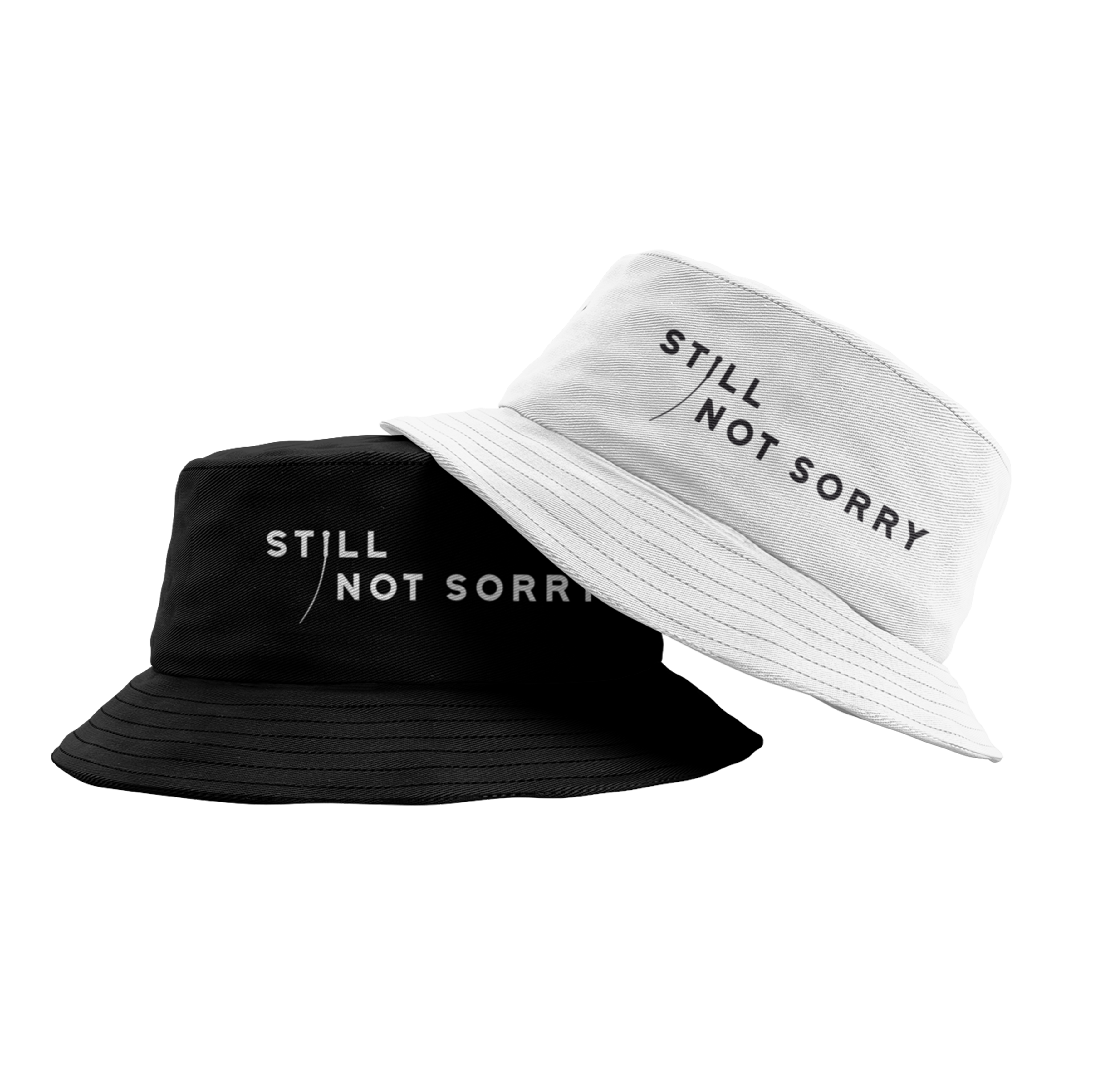 The Pigeon Detectives Still Not Sorry bob noir coton