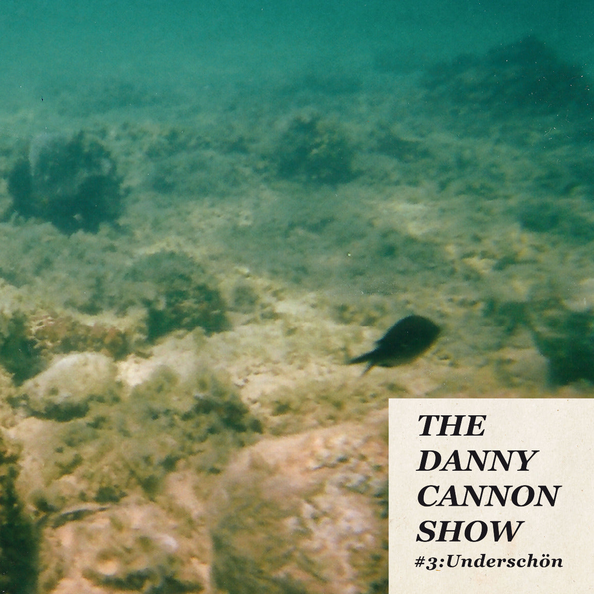 Apollon Danny Cannon Show Underschön LP turquoise