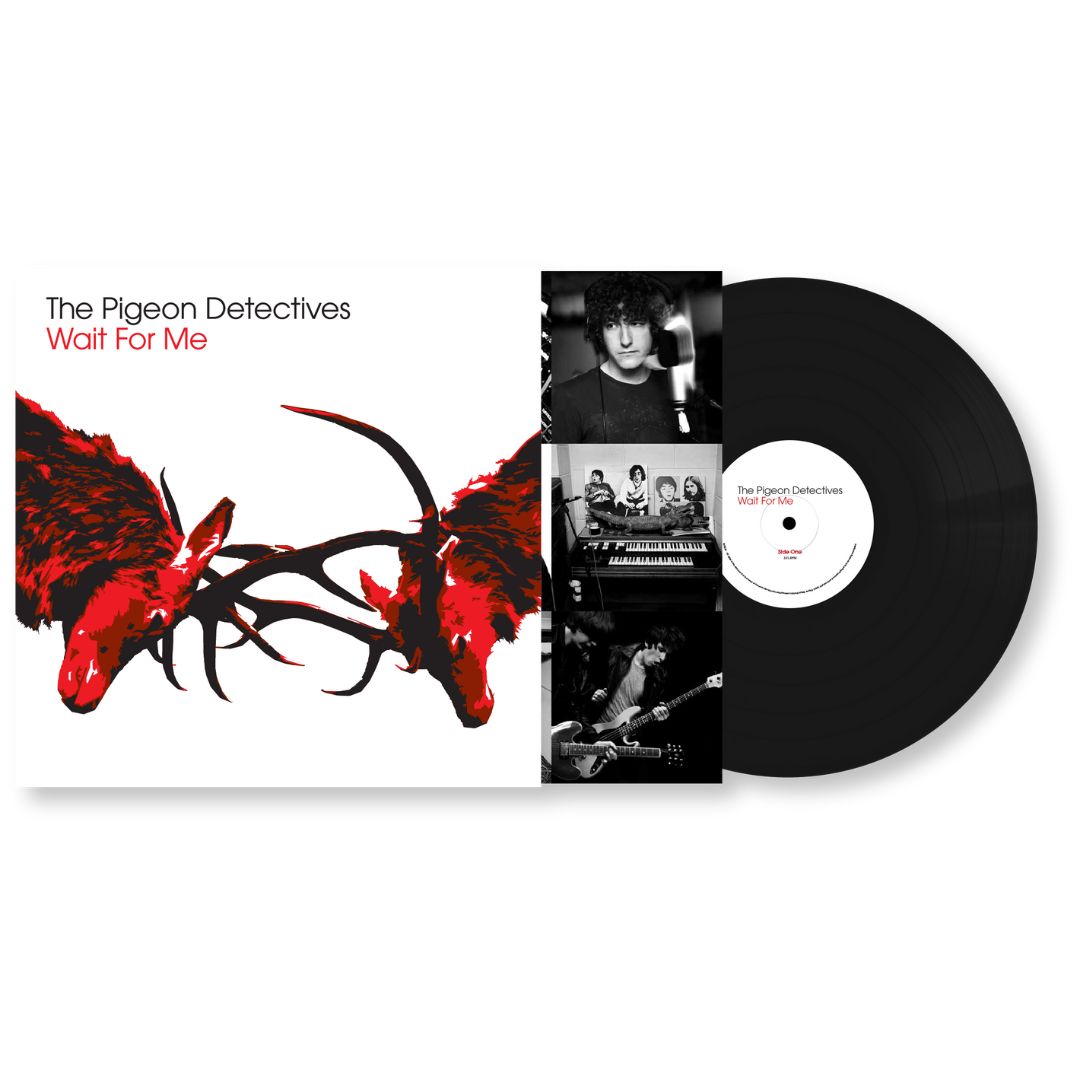 The Pigeon Detectives Wait for Me vinyle bio noir