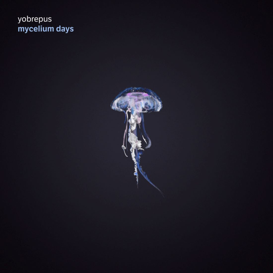Apollon Records Yobrepus Mycelium Days disque CD jewel case
