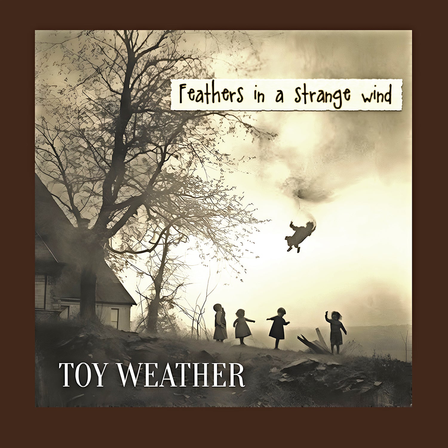 Apollon Records Toy Weather Feathers CD album rock progressif
