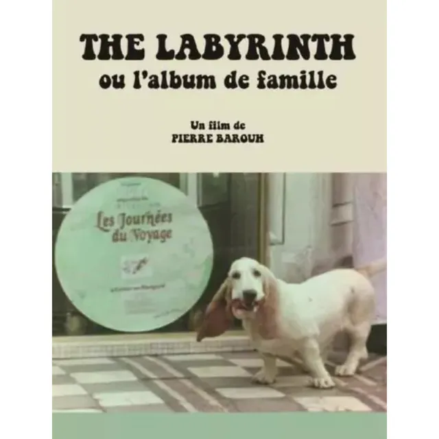 SARAVAH The Labyrinth Album de famille DVD film