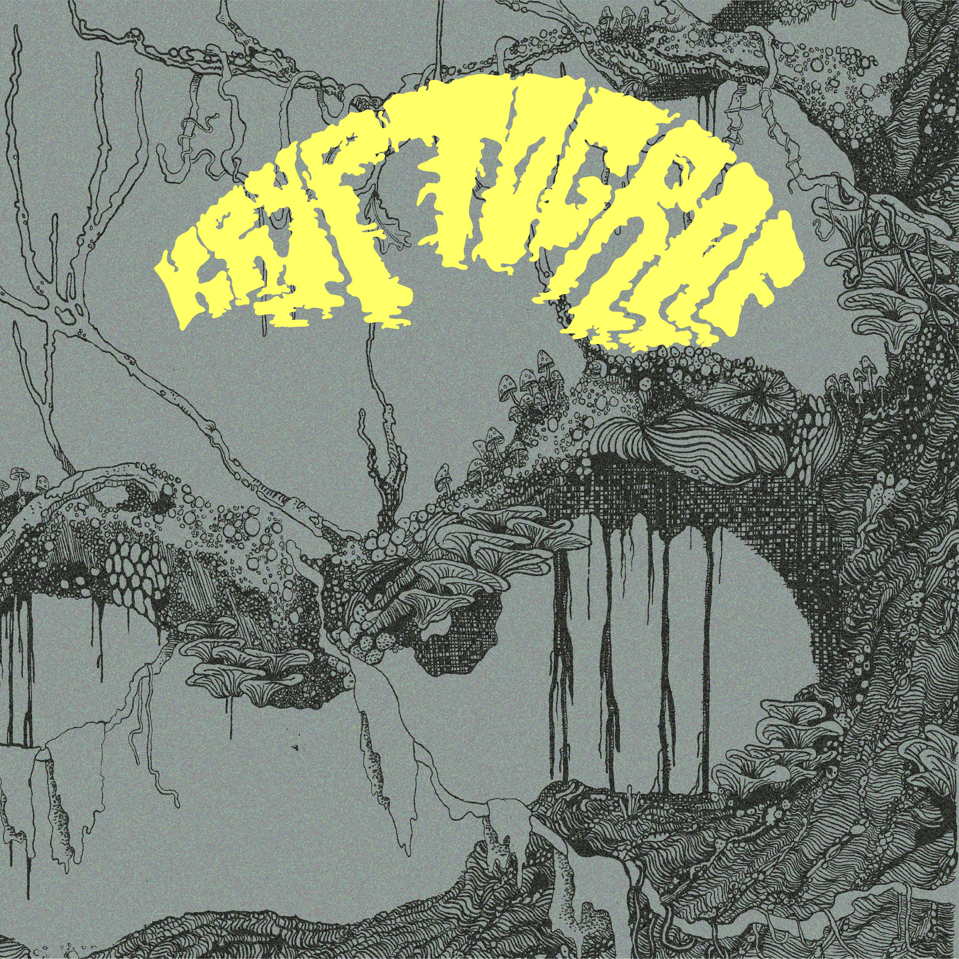 Apollon Records Kryptograf Kryptograf CD 2020
