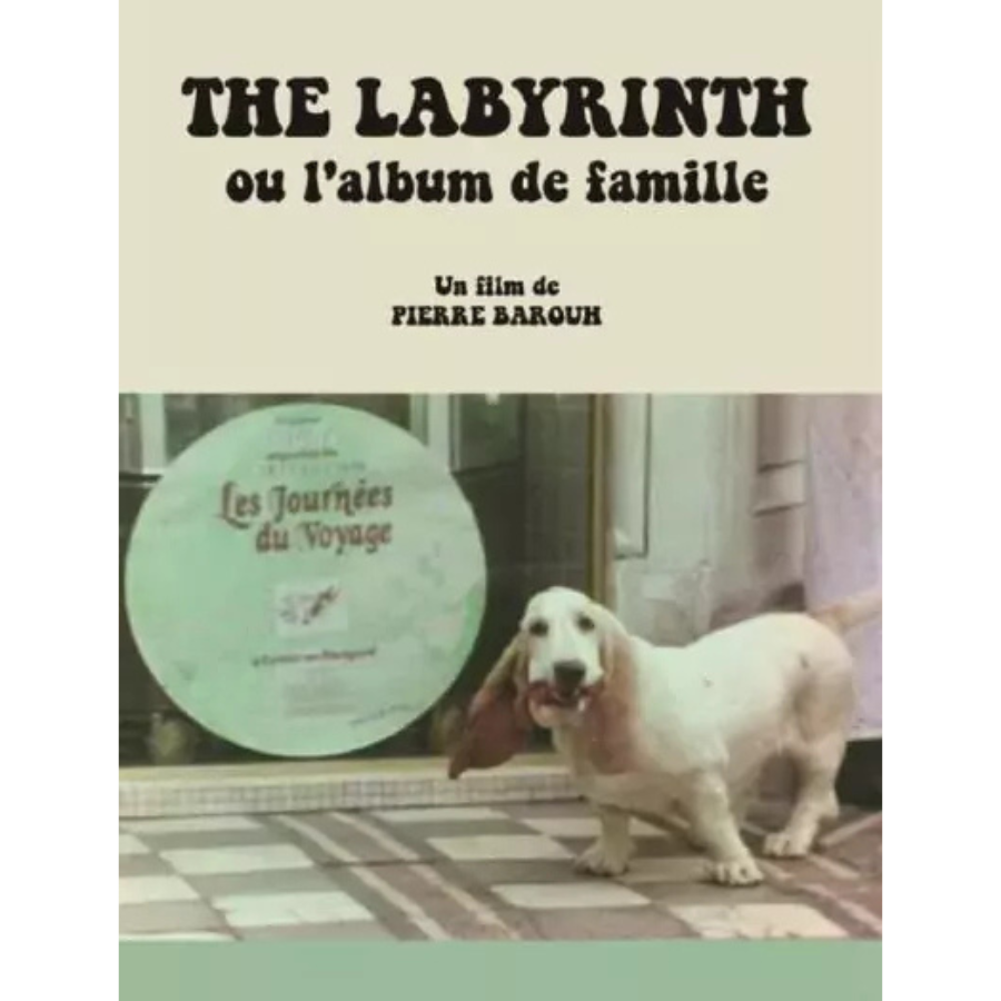 SARAVAH The Labyrinth Album de famille DVD film