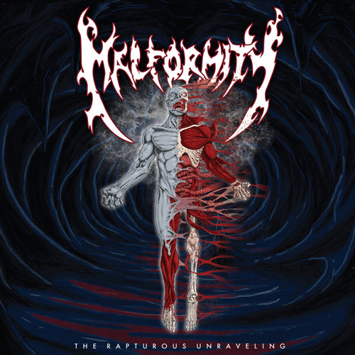Malformity Rapturous Unraveling vinyle 7" noir