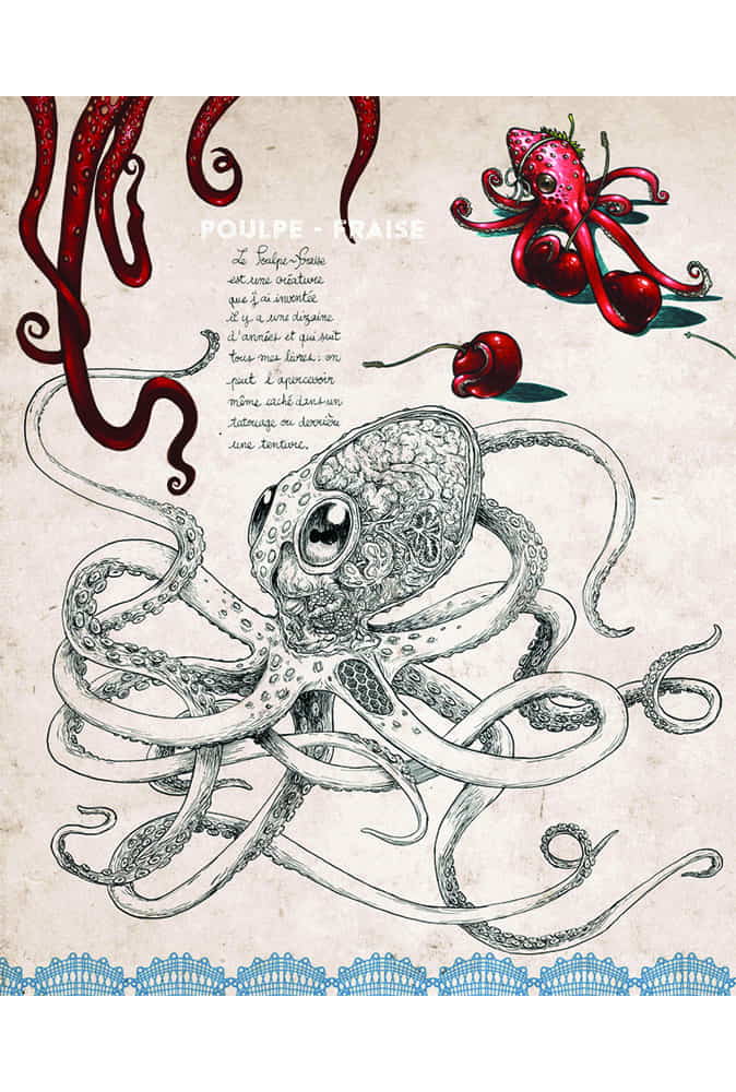 Attakus Collection Atlas Sketchbook Amoretti livre 48 pages