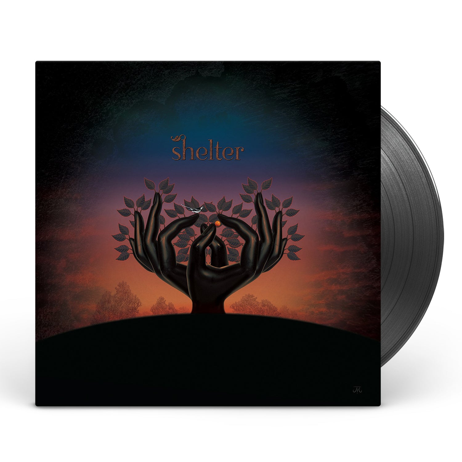 Apollon Records Laughing Stock Shelter vinyle noir