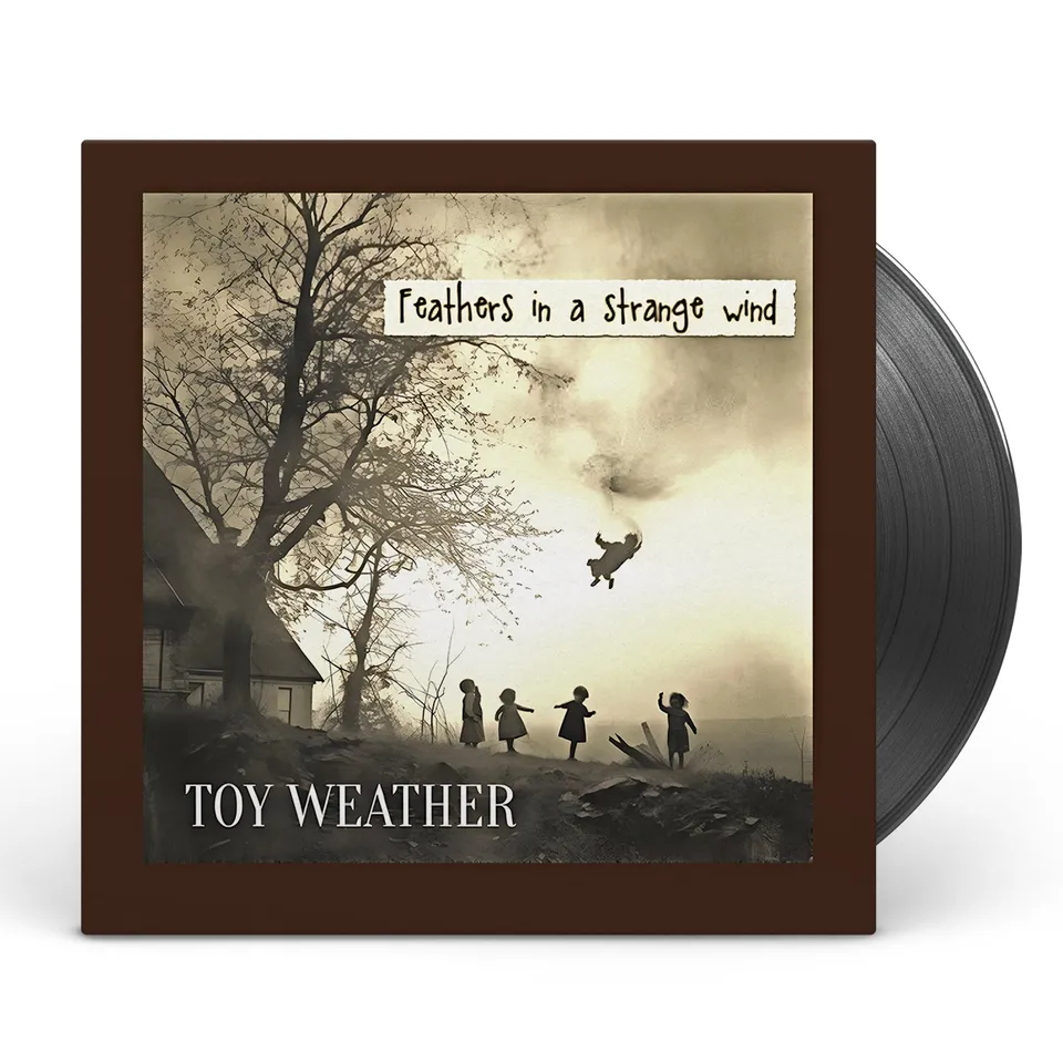 Apollon Toy Weather Feathers in a strange wind LP vinyle