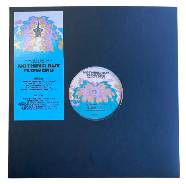 Dance To The Radio Nothing But Flowers Vinyle 12" bioplastique
